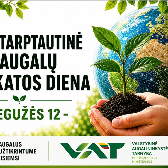 Iliustracija