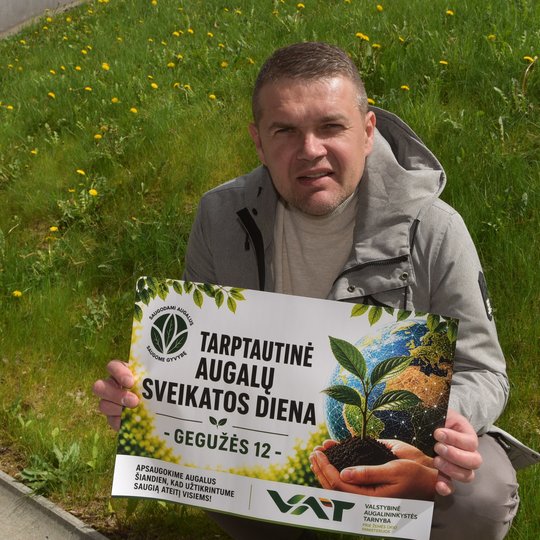 Iliustracija
