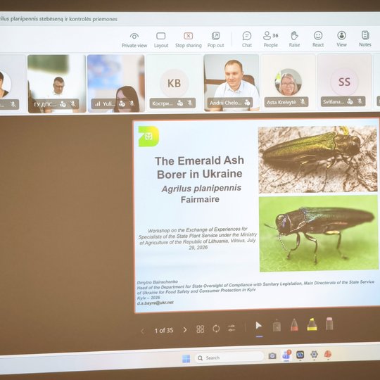 Iliustracija