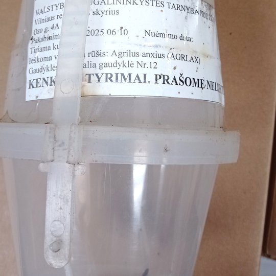 Iliustracija