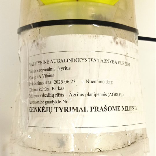 Iliustracija