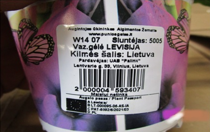 augalo_pasas4.png