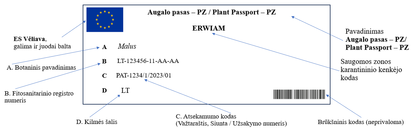 augalo_pasas_nr._6.png